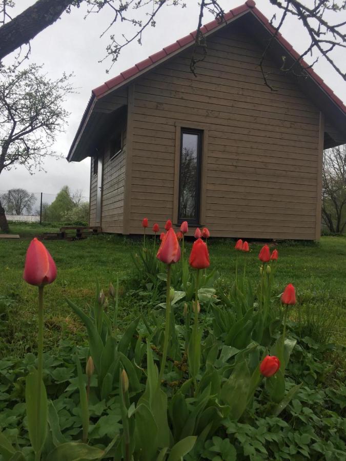 Holiday House Ausekla Namins Cēsis Dış mekan fotoğraf